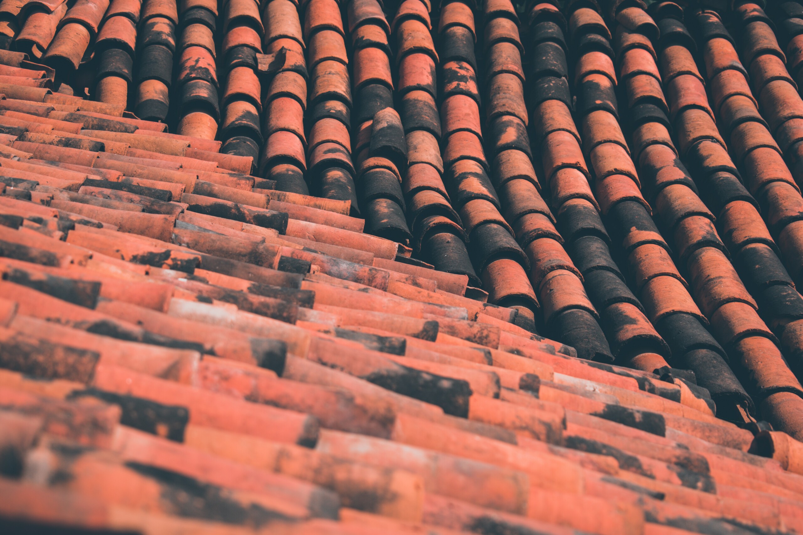 orange roofing