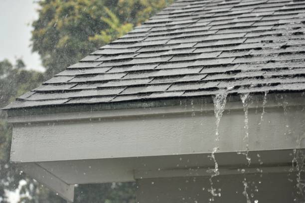 Roof Leaks Pioneer Roofing San Diego