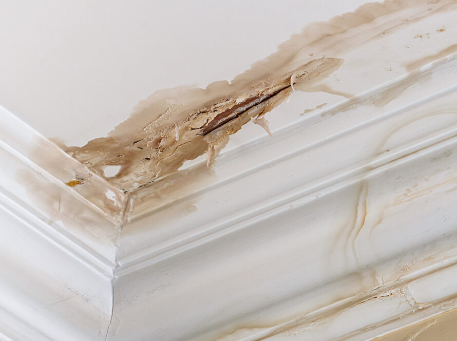 Roof Leaks San Diego Roofing Company