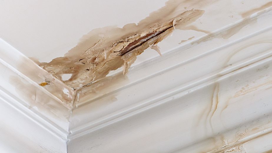 Roof Leaks San Diego Roofing Company