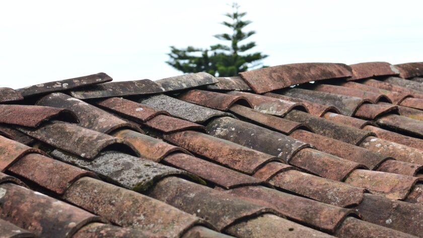 roof