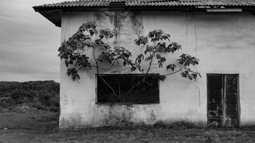 broken roof