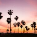 Top Del Mar Roofing Companies: Your Ultimate Guide